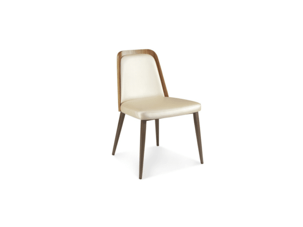 Elite Modern Coco Dining Chair
