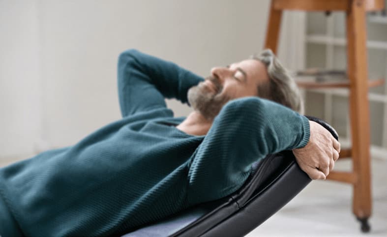Stressless® Plus System