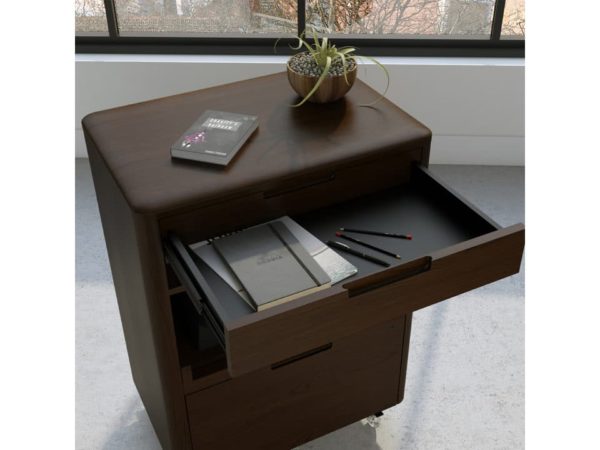 BDI Sola 6817 Cabinet (Toasted Walnut)