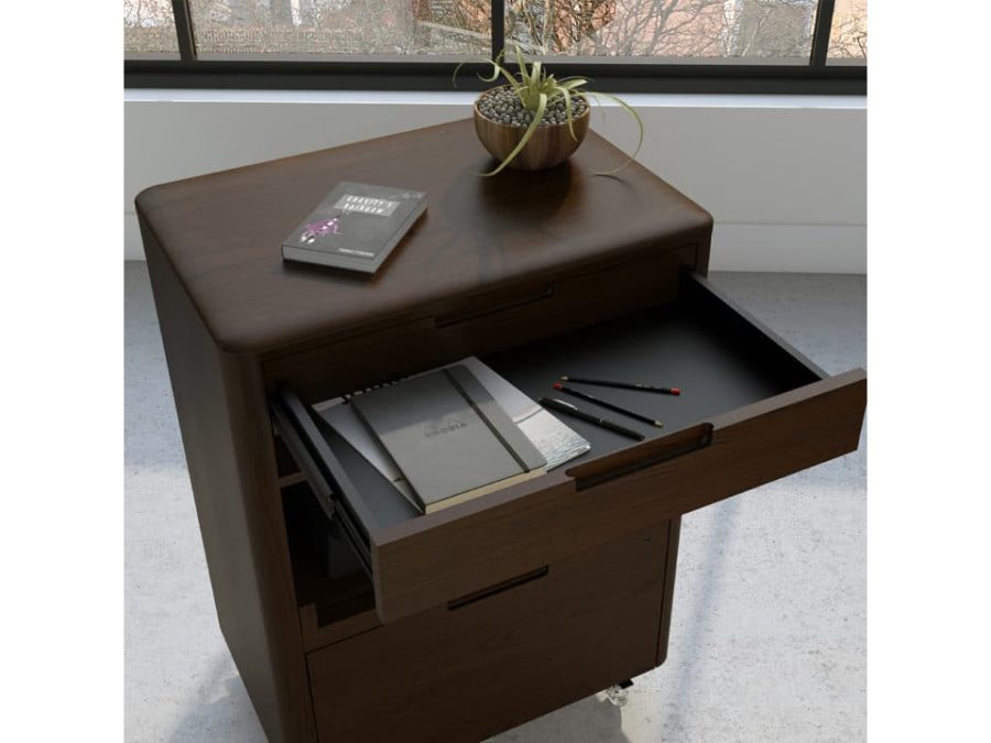 BDI Sola 6817 Cabinet (Toasted Walnut) - Image 2