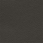 Natuzzi Italia Leather Le Mans Anthracite 15D7 Protecta