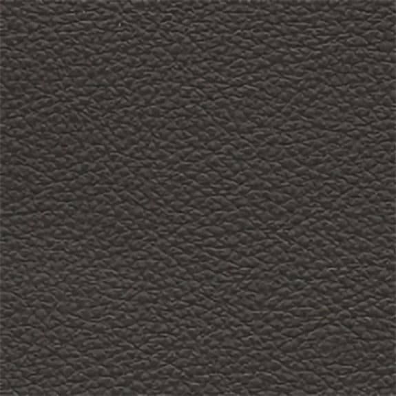 Natuzzi Italia Leather Le Mans Anthracite 15D7 Protecta