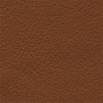 Natuzzi Italia Leather Le Mans Orange Tea 15D8 Protecta