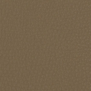 Cori Beige