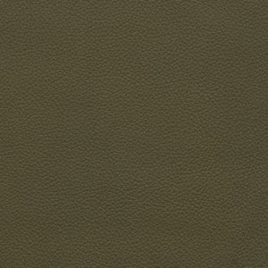 Paloma Dark Olive