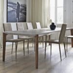 Bontempi-Versus Dining Table 20.54 - matt light grey glass top and walnut legs